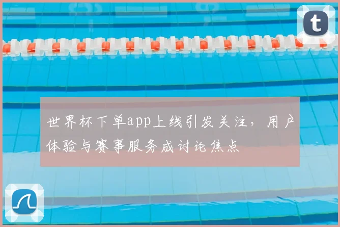 世界杯下单app上线引发关注,用户体验与赛事服务成讨论焦点
