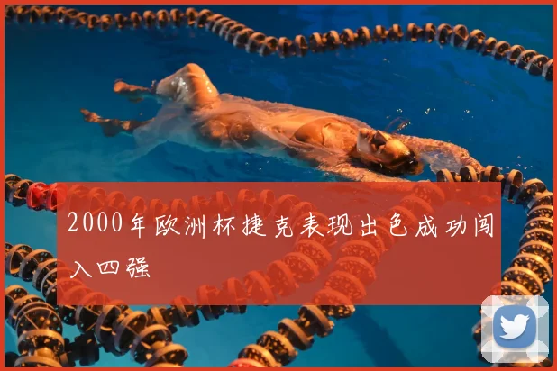 2000年欧洲杯捷克表现出色成功闯入四强